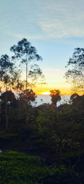 Cloudescape Resort